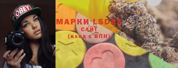 PSILOCYBIN Алексеевка