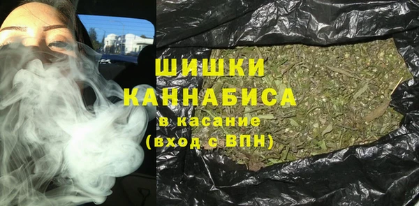 сатива Алзамай