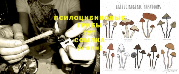 PSILOCYBIN Алексеевка